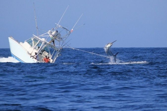 BEZ KOMENTÁŘE: Rybářský motorový člun šel po souboji s rybou ke dnu