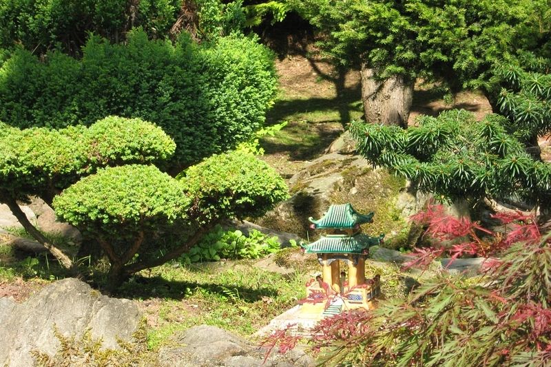 Japonská zahrada v polském Jarkowě stojí za návštěvu.