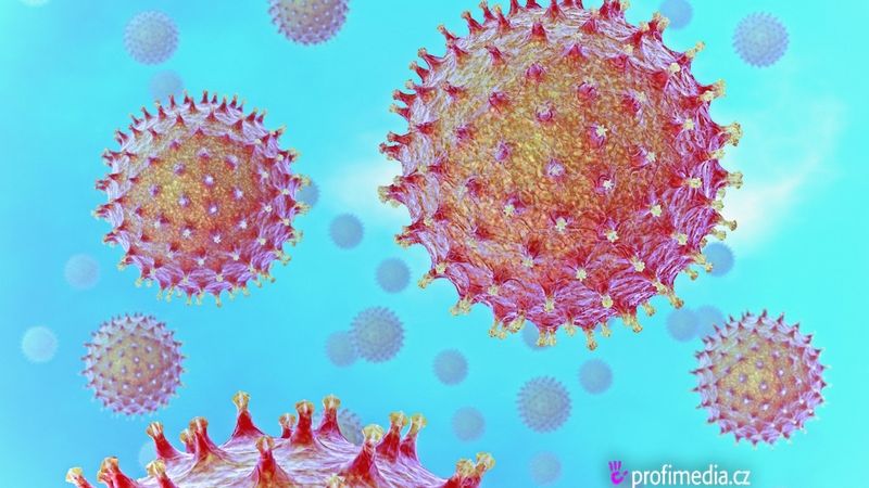 Viry jsou většinou spojovány s přenosem nepříjemných chorob. (Ilustrační foto)