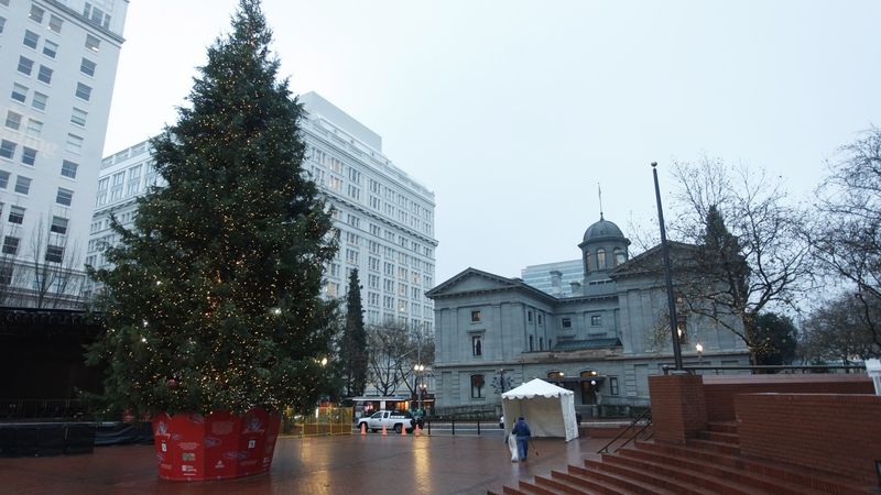 Vánoční strom na náměstí v Portlandu