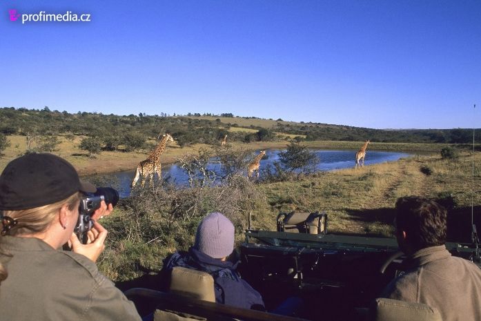 Pozorování a focení zvířat je na safari samozřejmostí.