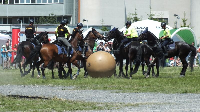 Utkání v pushballu mezi Státní a Městskou policií.