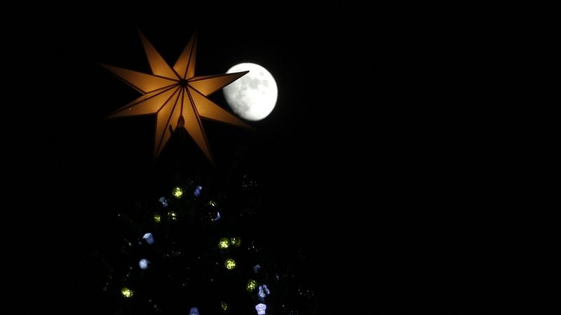 Měsíc vycházející za vrcholkem vánočního stromu ve Vatikánu.