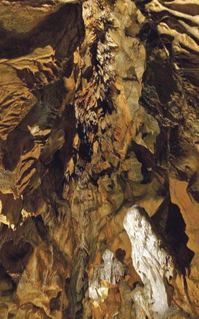 Mladečské jeskyně jsou známé především díky archoelogickým nálezům.