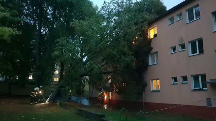 Stromy padaly i v Karlovarském kraji