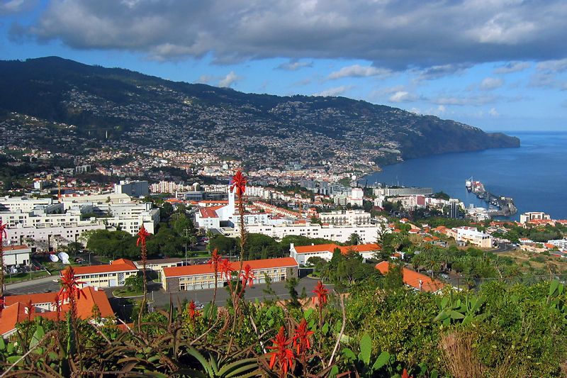 Madeira je ostrov věčného jara – velkých teplotních rozdílů se tady nedočkáte. 