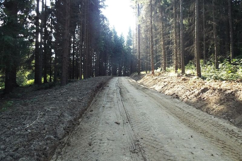 Smrtelná nehoda v lese u Aše. Senior zkolaboval za jízdy, pak narazil do stromu