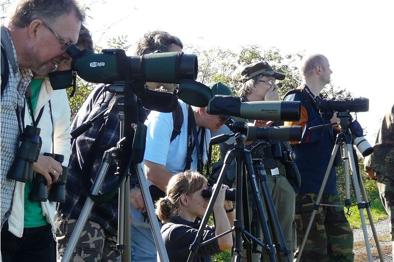 Pozorovatelé a ochránci ptáků se sejdou v Tovačově na Vítání ptačího pěvu.
