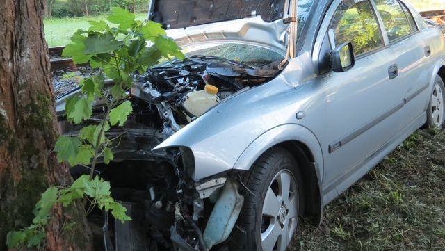 U Teplic nad Metují zemřel řidič po nárazu do stromu. 