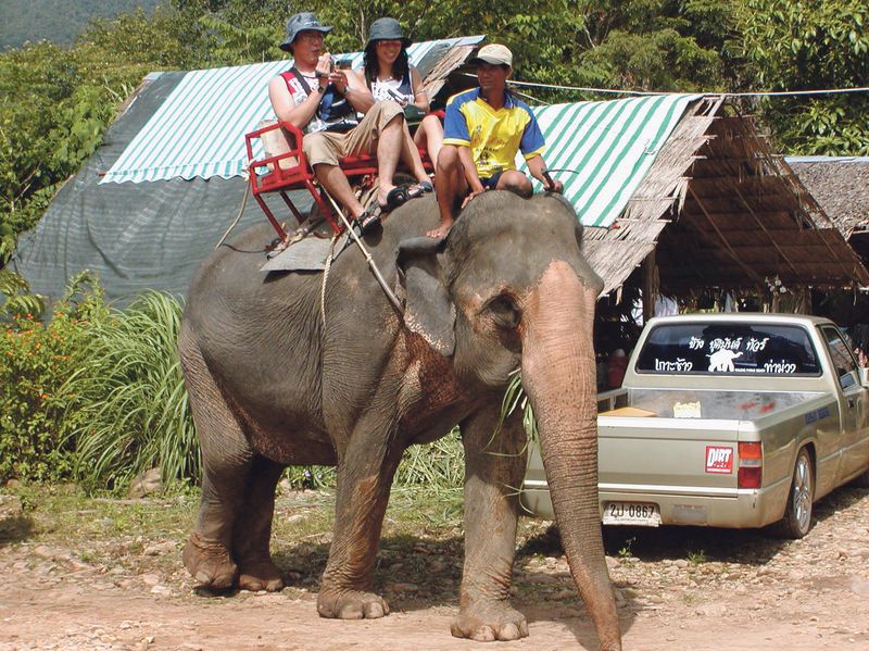 Vyjížďka na hřbetě slona patří mezi atrakce např. na Ko Chang, ostrově, který turisté objevili teprve nedávno.