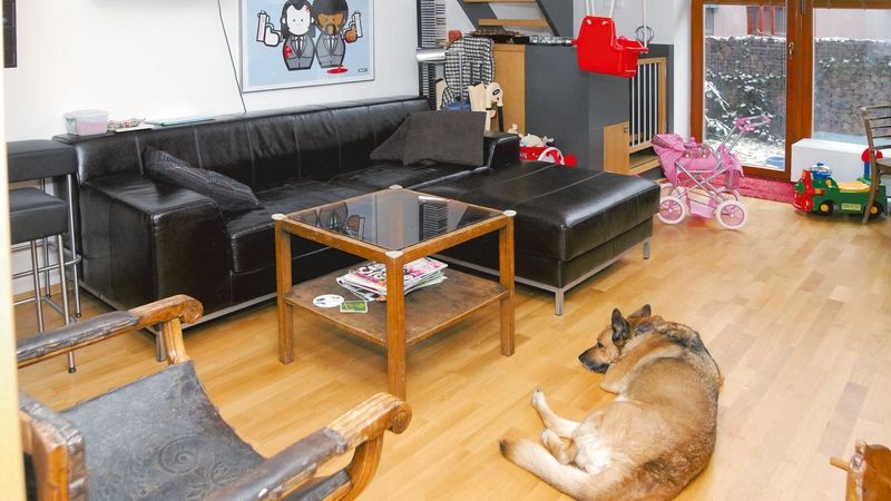 Obývací část bytu je prostorná a vzdušná – je tu dost místa pro malé dítě i psa.
