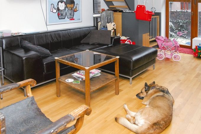 Obývací část bytu je prostorná a vzdušná – je tu dost místa pro malé dítě i psa.