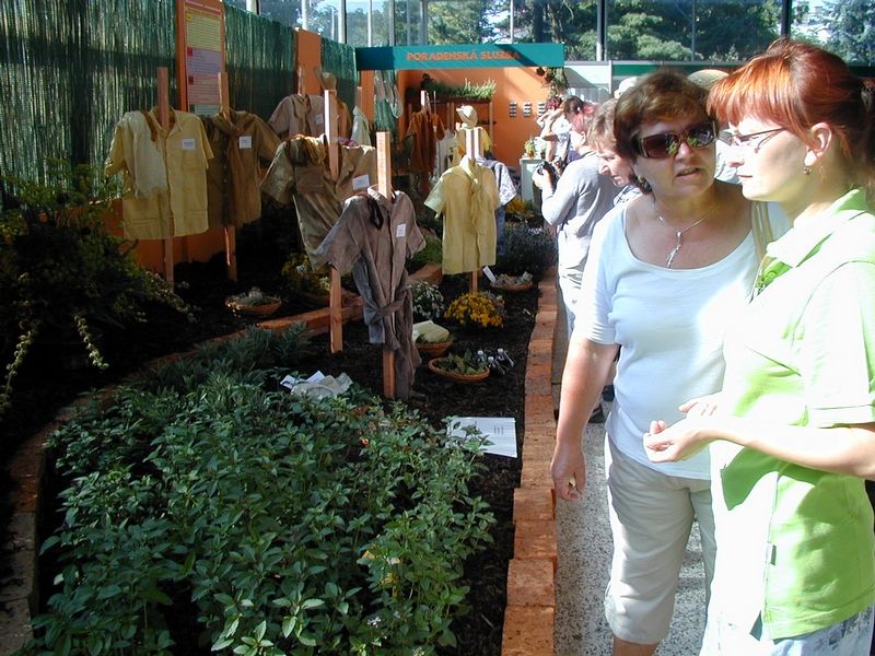 Po dvou letech je součástí letního veletrhu Flora i expozice léčivých, aromatických a kořenových rostlin.