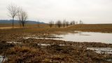 Dlouhodobé sucho v Česku je dočasně zažehnané