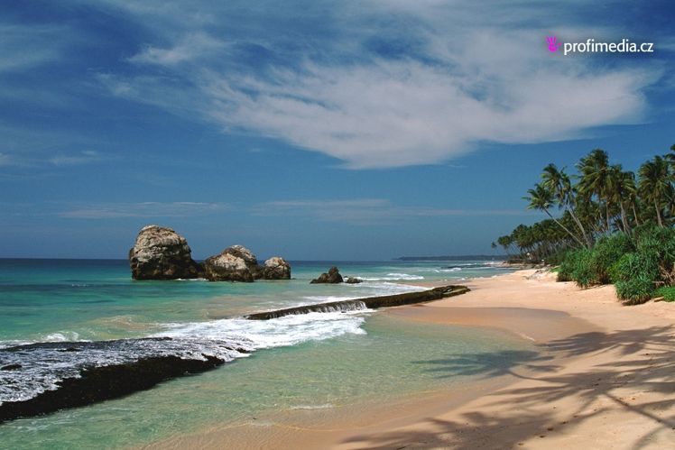 Pobřeží Cejlonu lemují zlatavé písečné pláže omývané vodami Indického oceánu