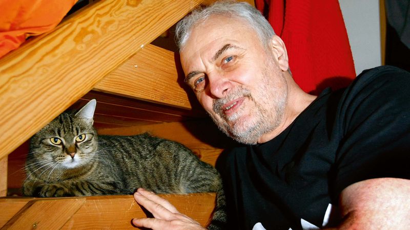Dům Vladimíra Čecha si kočky z okolí za svůj domov vybraly samy. 