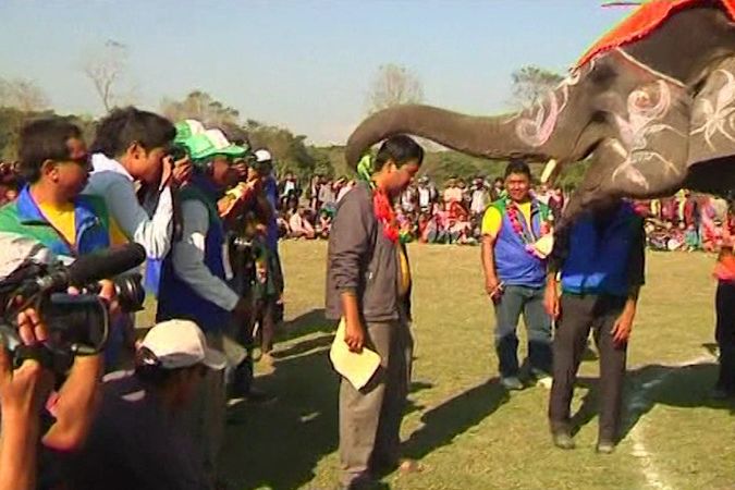 BEZ KOMENTÁŘE: Sloní festival v Nepálu