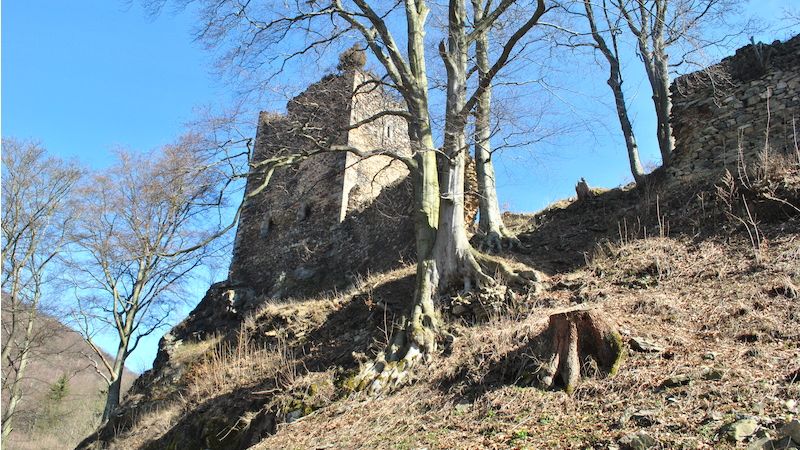 Riesenburg bylo oblíbené pojmenenovaní sídla, Obřích hradů u nás je několik, krušnohorský je opravdu Riese - Obr