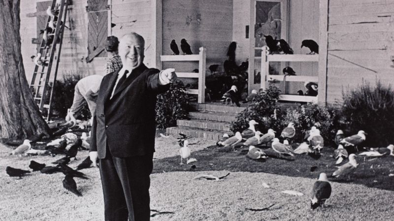 Alfred Hitchcock při natáčení filmu Ptáci (1963)