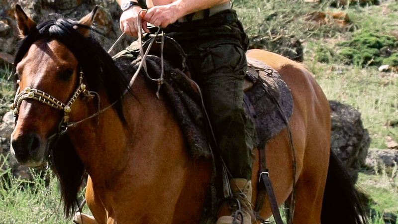 Při loňské dovolené se zase na jihu Sibiře projel na koni a neopomenul při tom ukázat své vypracované tělo.