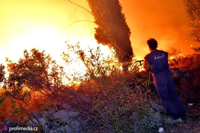 Oheň zachvátil již 500 hektarů lesa. Ilustrační foto