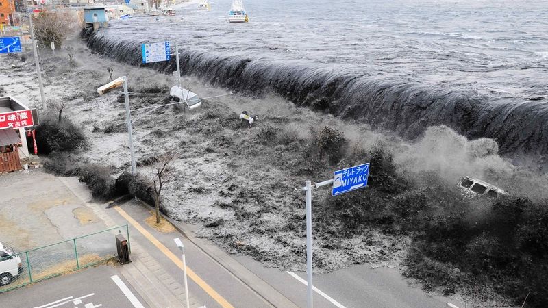 Obří vlnu tsunami neměly hráze šanci zastavit.