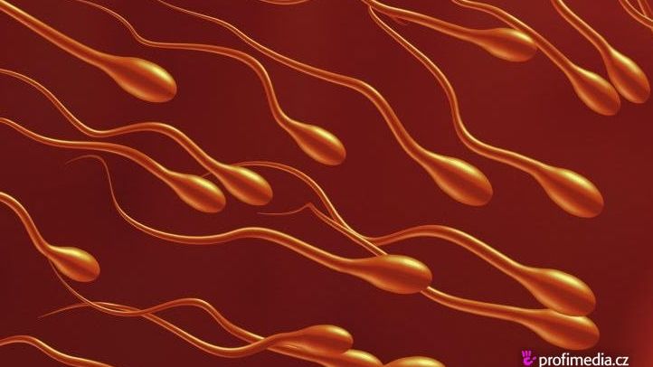 Vědci objevili látku spermidin, která omlazuje buňky a výrazně brzdí jejich stárnutí.