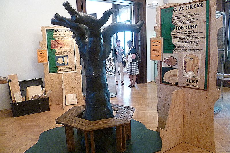 Panely se zadáním 14 znalostních i praktických úkolů práce se dřevem nabízí interaktivní výstava v muzeu.