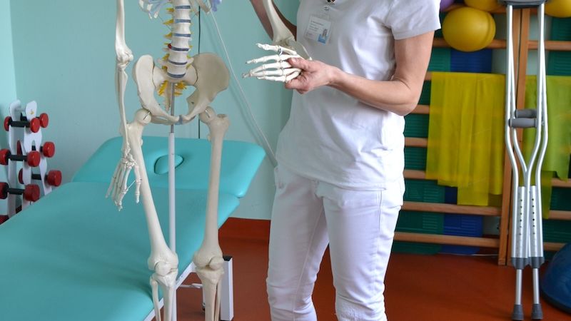 Anatomický model lidské kostry v životní velikosti slouží nejčastěji při vstupních vyšetřeních a individuálních terapiích pacientů s fyzioterapeuty. 