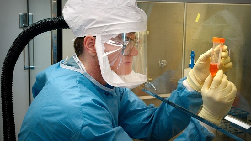 Dokotor Terrence Tumpey z amerického centra pro infekční onemocnění rozebírá vzorky pro zjištění prasečí chřipky. Ilustrační foto