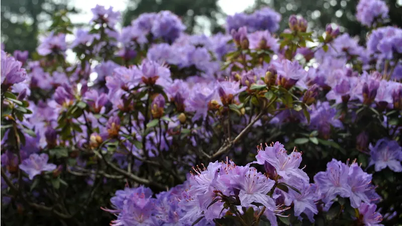 Co Umi Vase Pc 15 04 Faxujte S Windows Xp Novinky