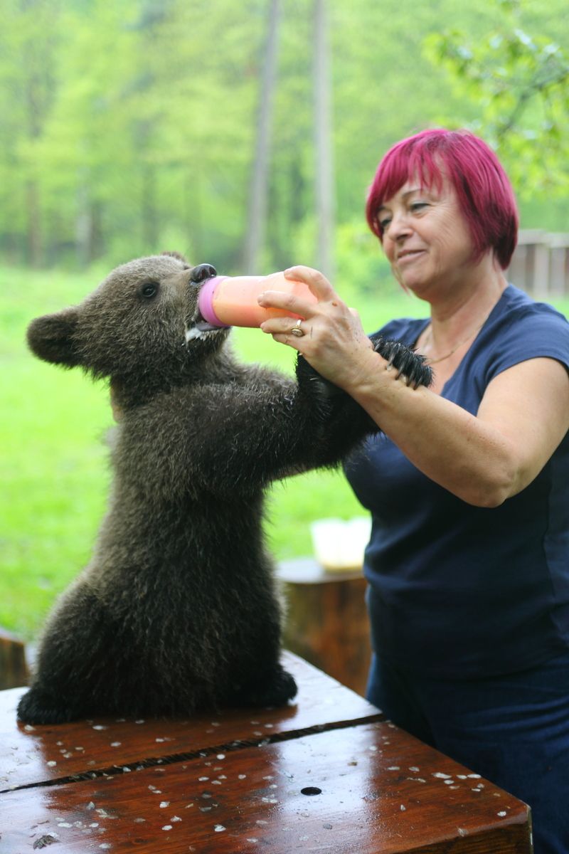 Paní Chaloupková si rozumí s medvědím miminkem Agátou.
