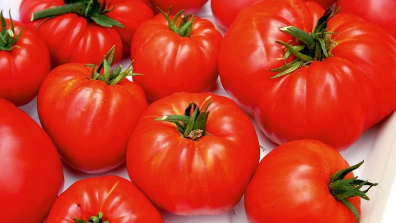 Lidé konzumující rajčata a výrobky z rajčat jsou vždy ohroženi páchnoucím potem.