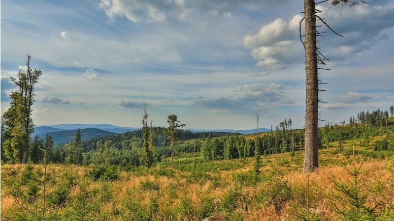 Výcviková centra armády neodpovídají potřebám, zjistil NKÚ