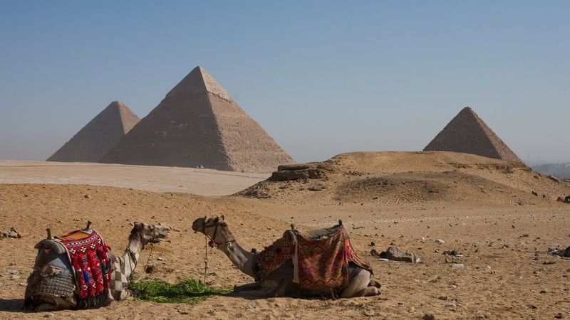 Turisté jsou pryč. A velbloudi v okolí pyramid nemají co na práci...