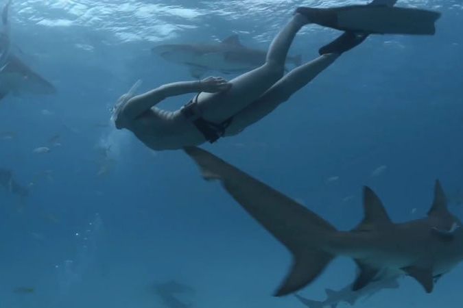 BEZ KOMENTÁŘE: Potápěčka plavala mezi jedněmi z nejnebezpečnějších žraloků na světě