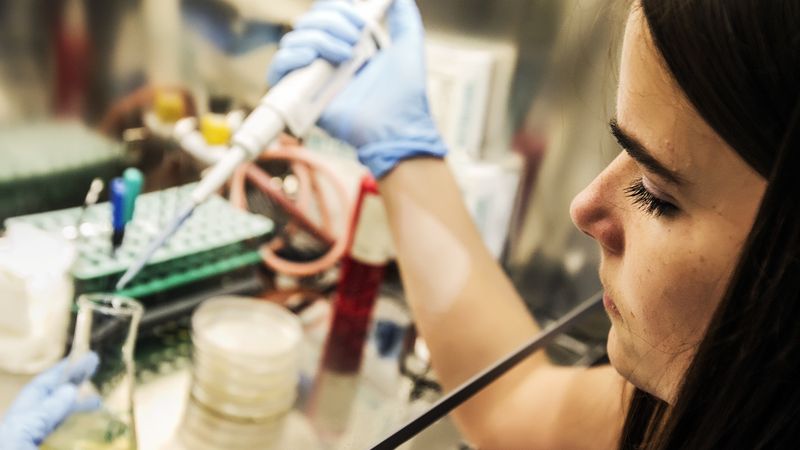 V brněnských laboratořích testují odolnost bakterií proti nové látce.