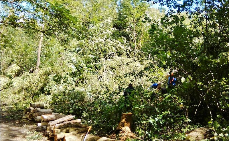 Okolo komunikace vedoucí k Mojžíšovu prameni pracovala v nedělním dopoledni asi desítka lesníků odstraňující následky včerejší bouře