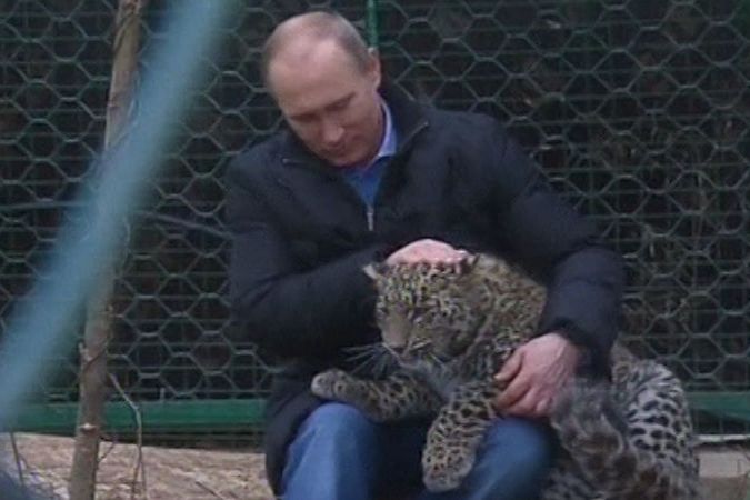 BEZ KOMENTÁŘE: Vladimir Putin v levhartí kleci