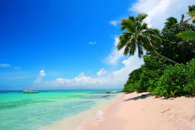 I takhle může vypadat Indie. Svazový stát Kerala nabízí pěkné pláže, které stíní palmy. 