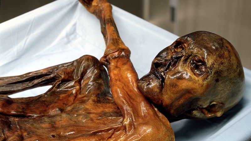 Zmražené tělo muže z doby kamenné našel v roce 1991 německý manželský pár. 