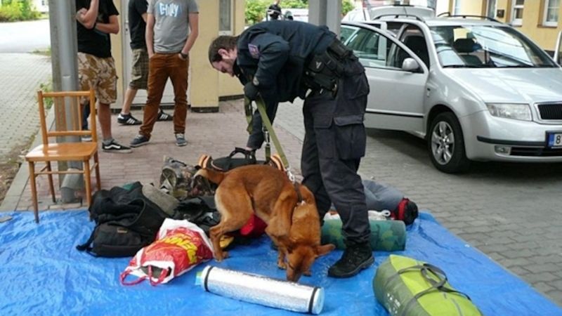Ilustrační foto. Policejní pes při hledání drog.

