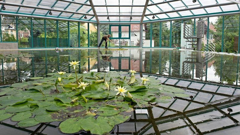 Pavilón leknínů v Botanické zahradě Liberec