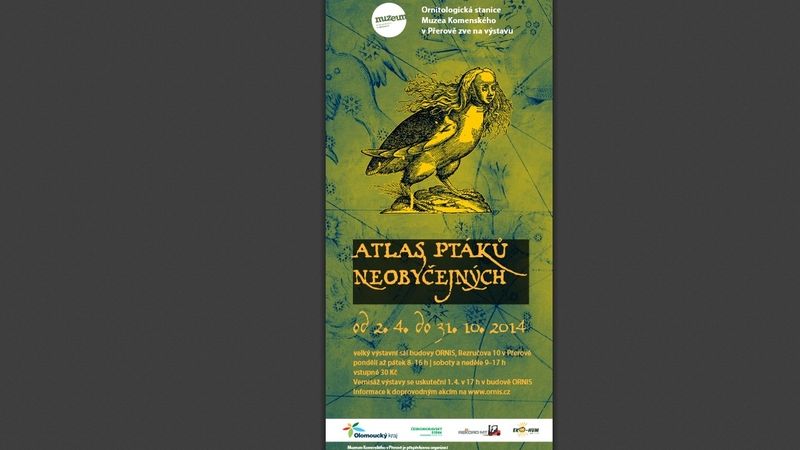 Atlas ptáků neobyčejných - plakát výstavy.