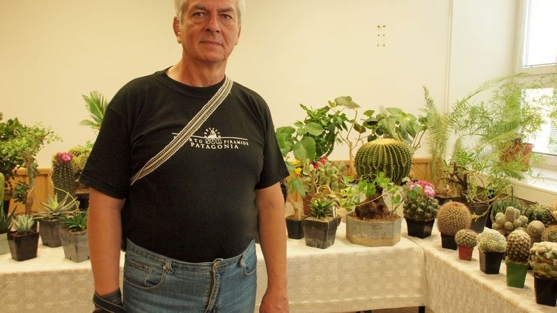 Lumír Král, předseda Klubu kaktusářů.