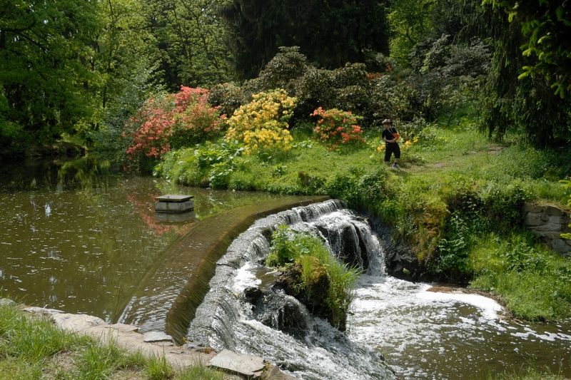 Botičský potok vytváří na mnoha místech parku malé vodopády. 