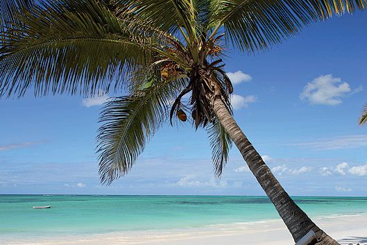 Tohle není tahitská krajinka od Paula Gaugaina, ale realita na Zanzibaru.