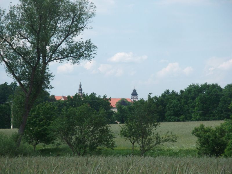 Bechyňský zámek z pole nad Lužnicí