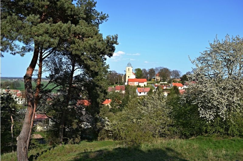 Pohled z Pičhory na dobřichovský kostel.