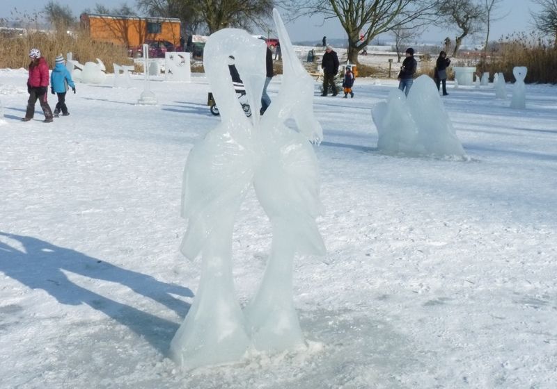 Během dvou tří hodin, záleží na velikosti a množství detailů výsledné sochy, dokáží zruční umělci vykouzlit z kusu ledu například sousoší volavek.